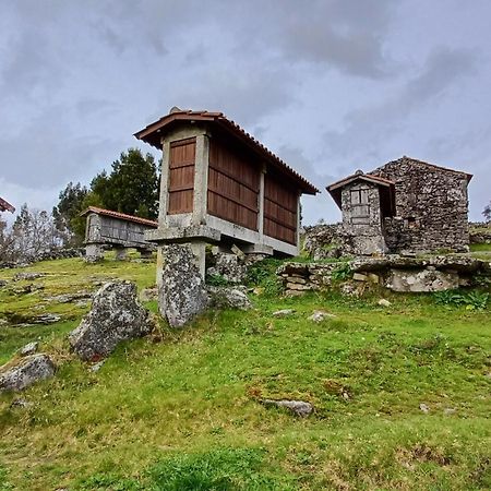 帕雷迪什迪科拉Casa Da Rosa Porreiras别墅 外观 照片