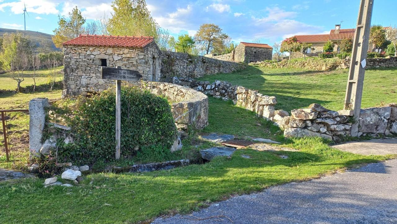 帕雷迪什迪科拉Casa Da Rosa Porreiras别墅 外观 照片